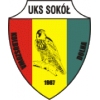 Sokół Kolbuszowa Dolna