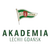 Akademia Piłkarska LG