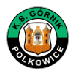 Górnik Polkowice